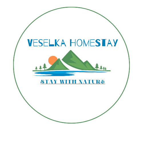 Veselka_HomeStay- Logo
